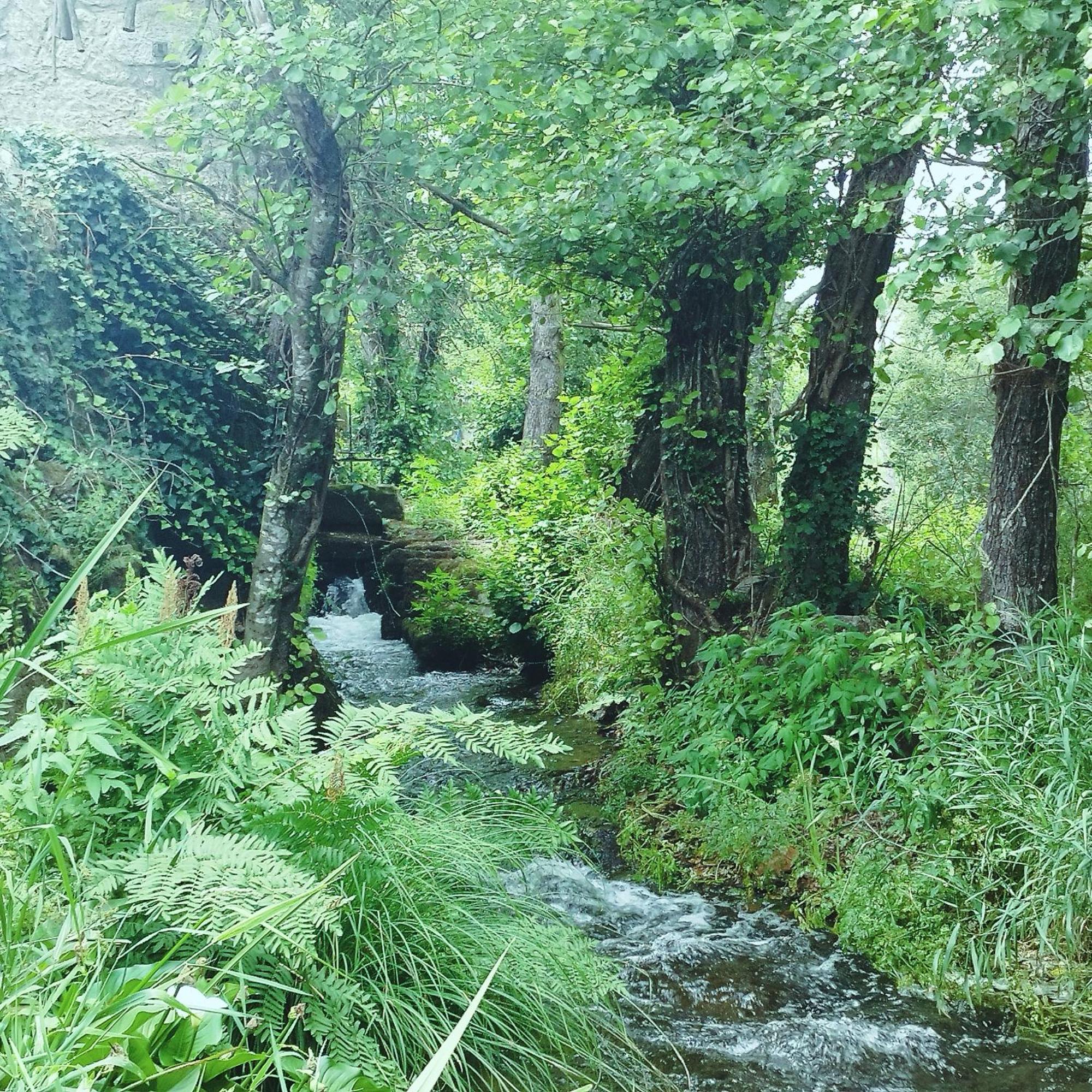 Casa Campo Ao Rio_Village 바르셀로스 외부 사진